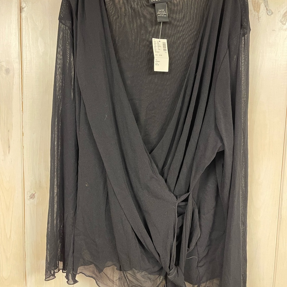 Lane Bryant 26/28 sheer top.  Very slimming